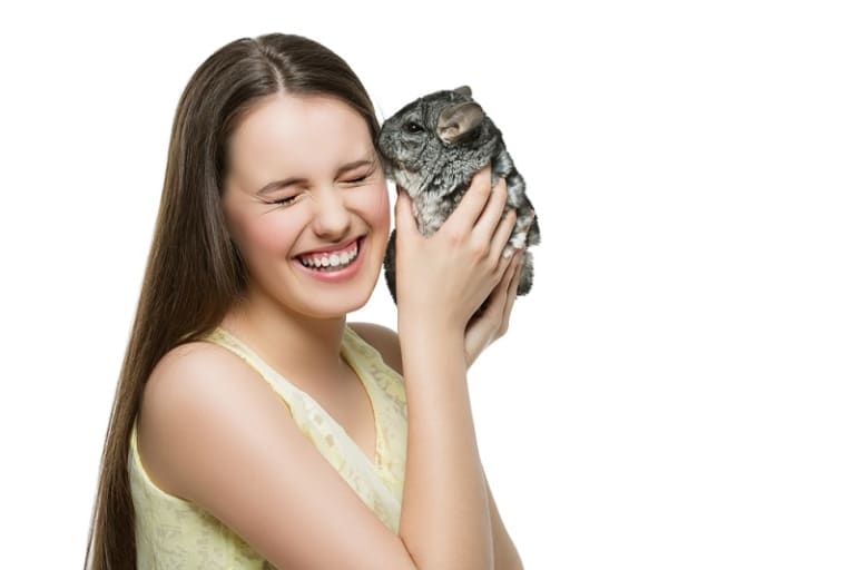 Chinchilla Intelligence and Communication ChinCare