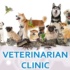 Lists of Vets Worldwide (ChinCare Vet Resources)